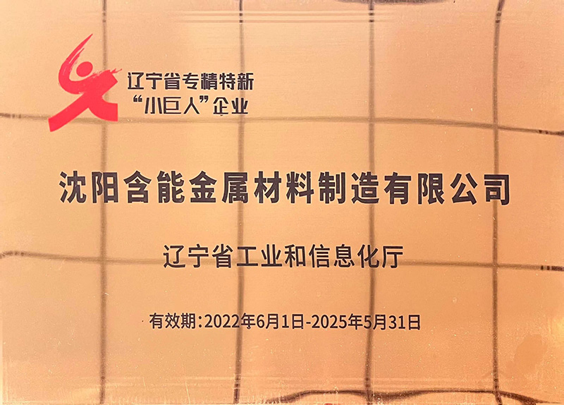 遼寧省專精特新“小巨人”企業